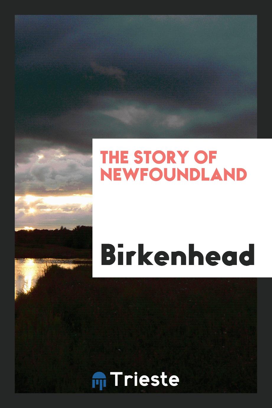 Birkenhead - The story of Newfoundland