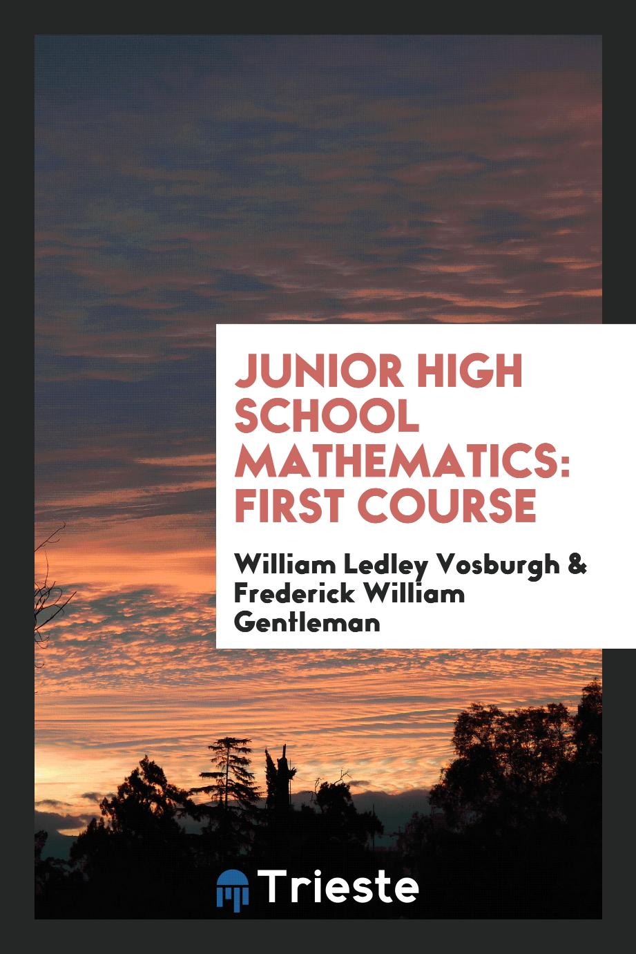 Junior High School Mathematics: First Course