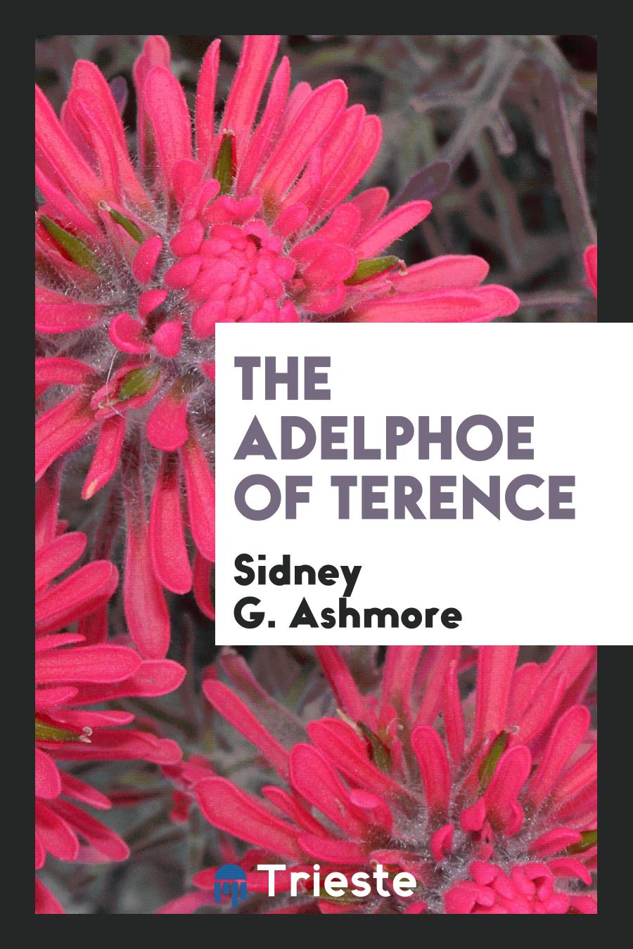 The Adelphoe of Terence