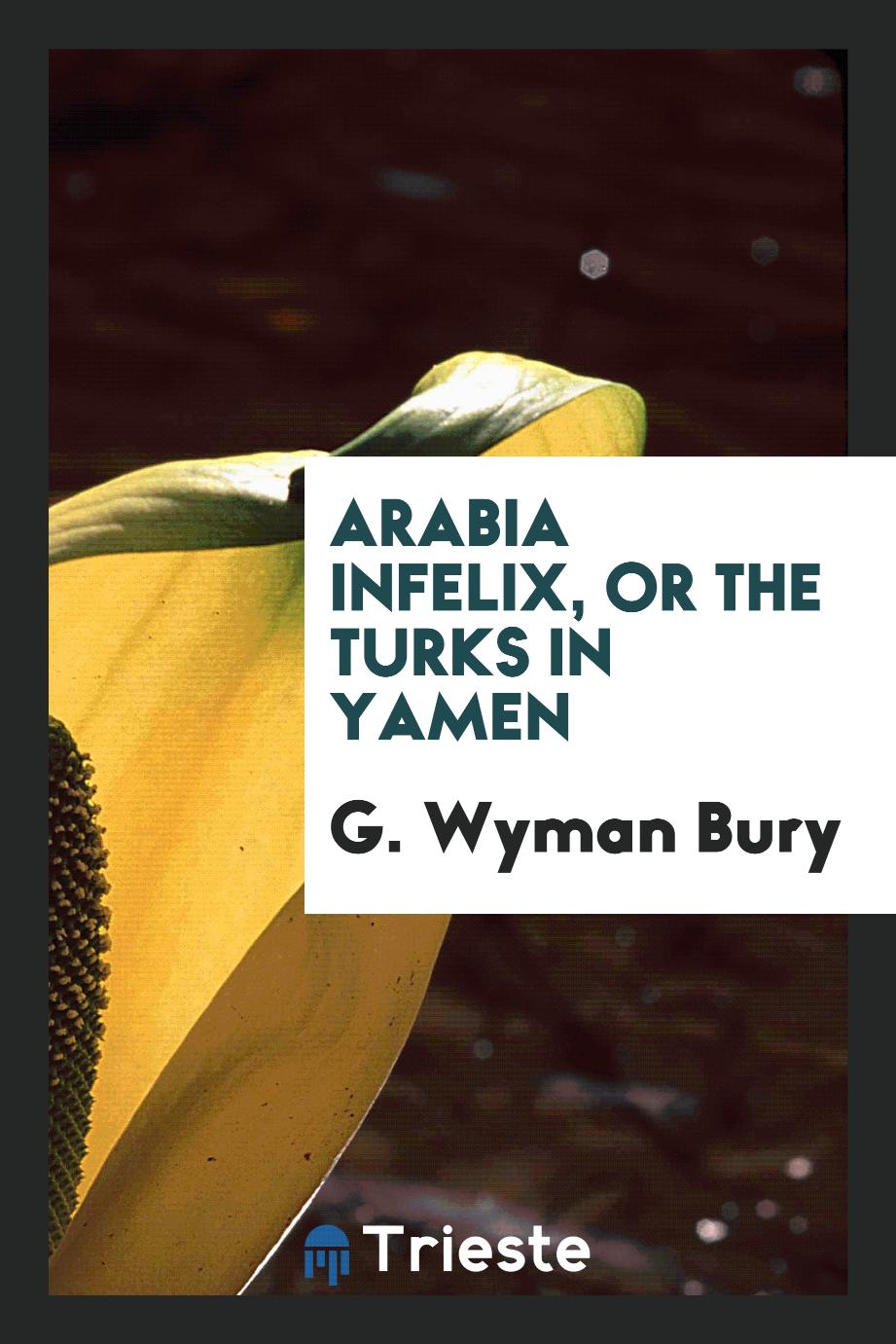 Arabia infelix, or the Turks in Yamen