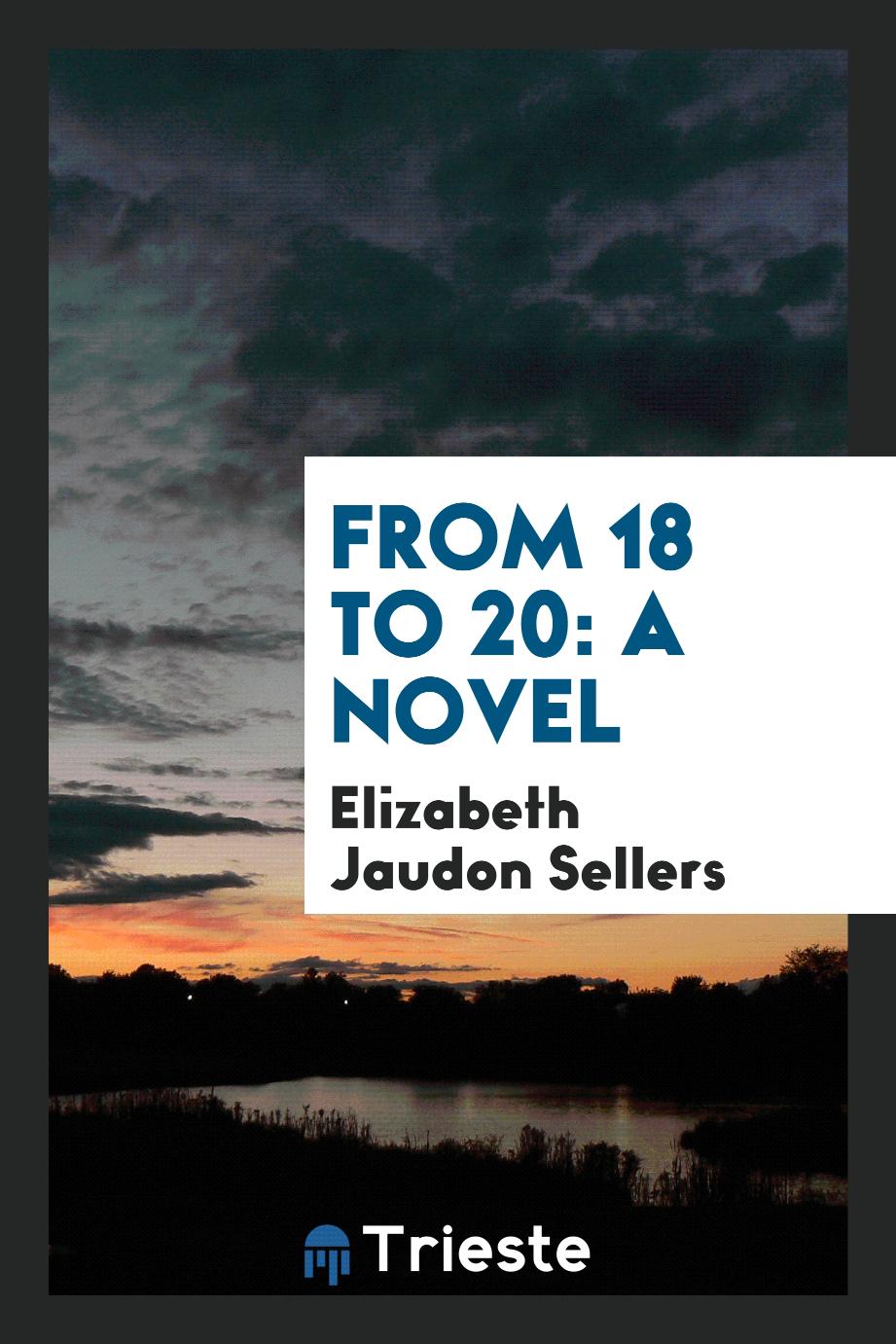 From 18 to 20: A Novel