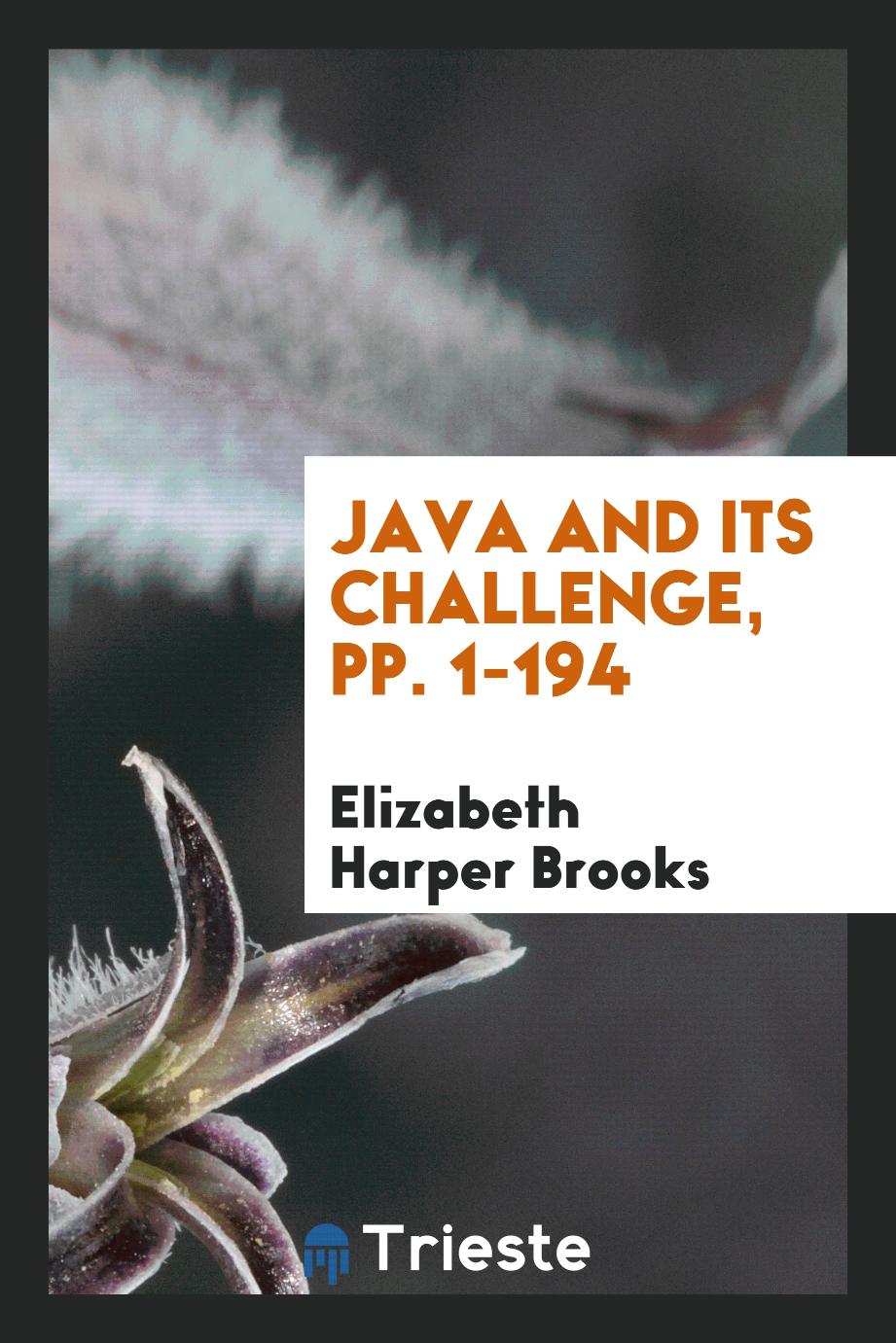 Java and Its Challenge, pp. 1-194