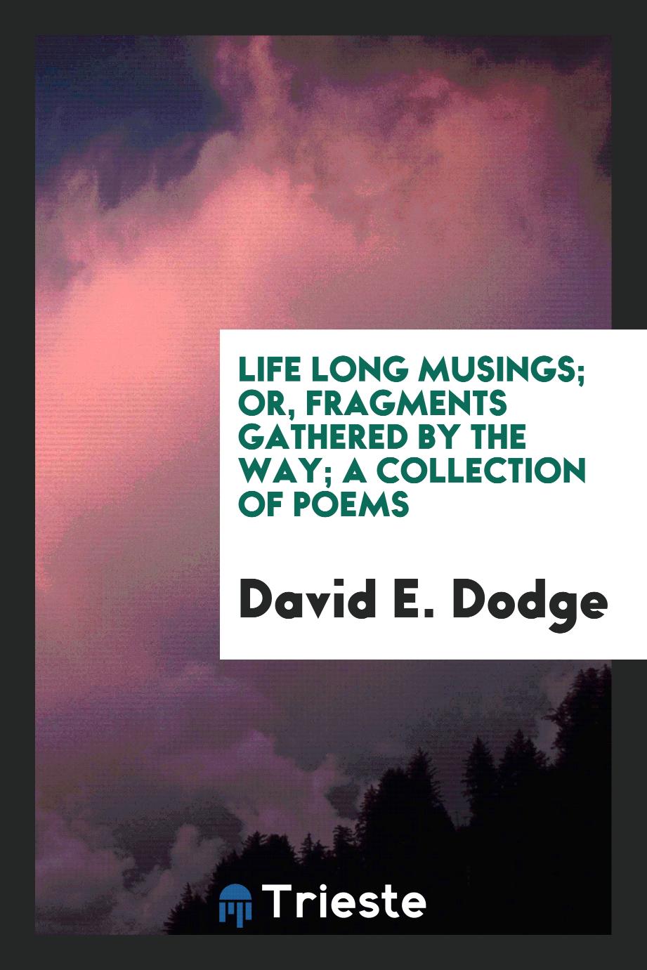 Life Long Musings; Or, Fragments Gathered by the Way; A Collection of Poems