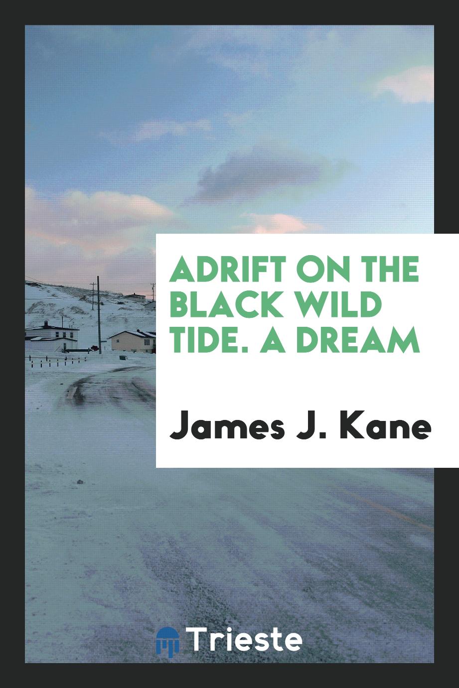 James J. Kane - Adrift on the black wild tide. A dream