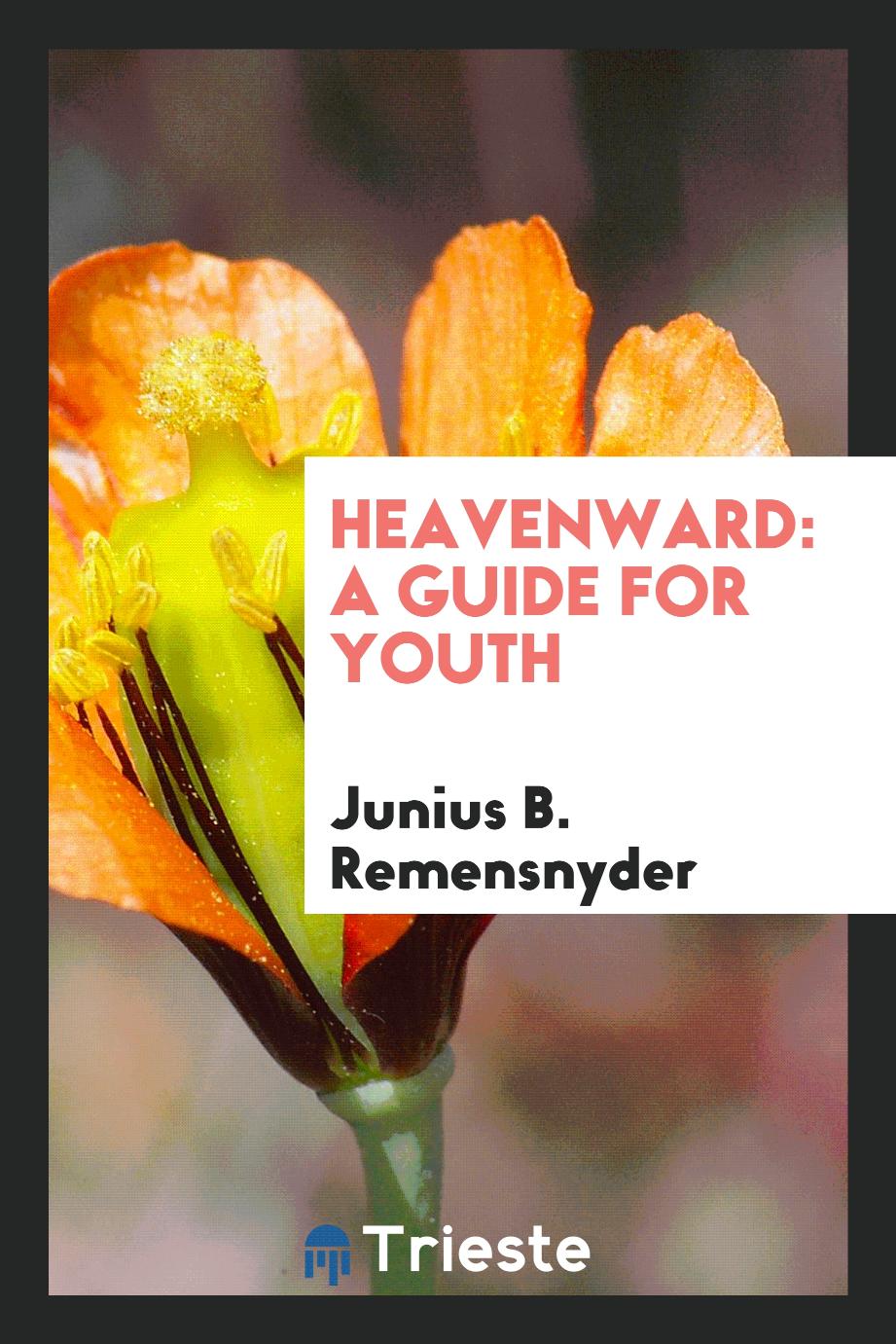 Heavenward: A Guide for Youth