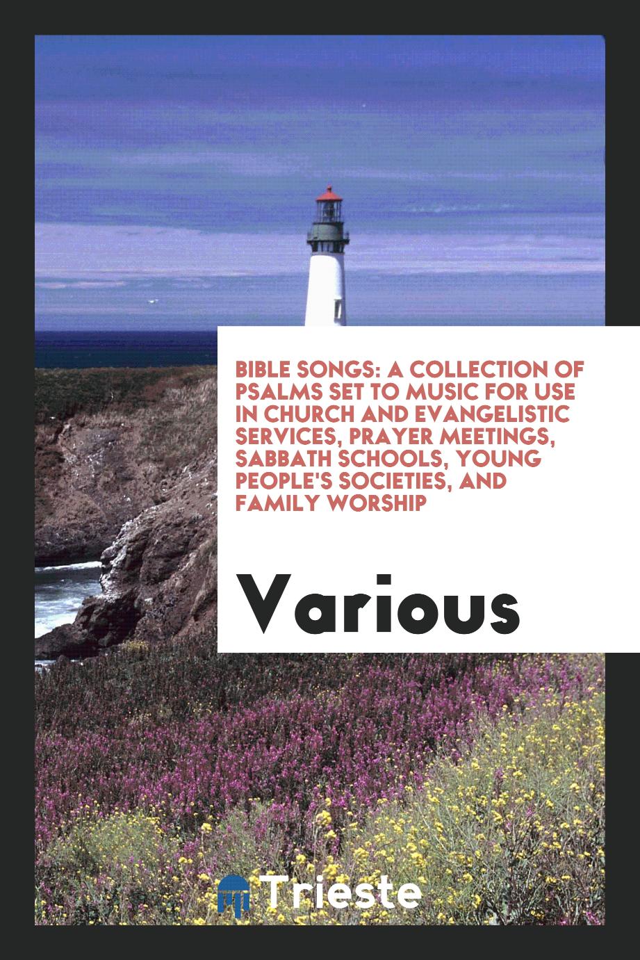 Bible Songs: A Collection of Psalms Set to Music for Use in Church and Evangelistic Services, Prayer Meetings, Sabbath Schools, Young People's Societies, and Family Worship