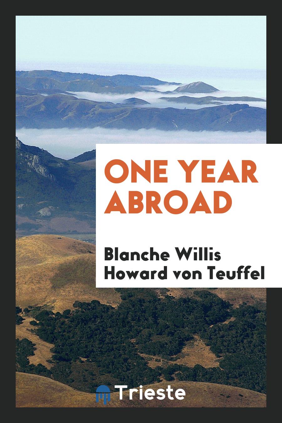 One year abroad