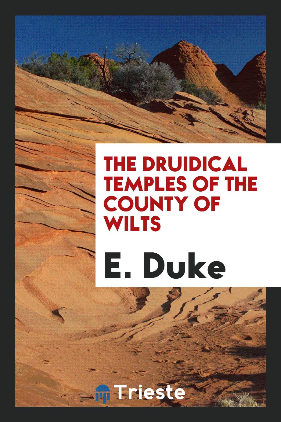 E. Duke - The Druidical Temples of the County of Wilts