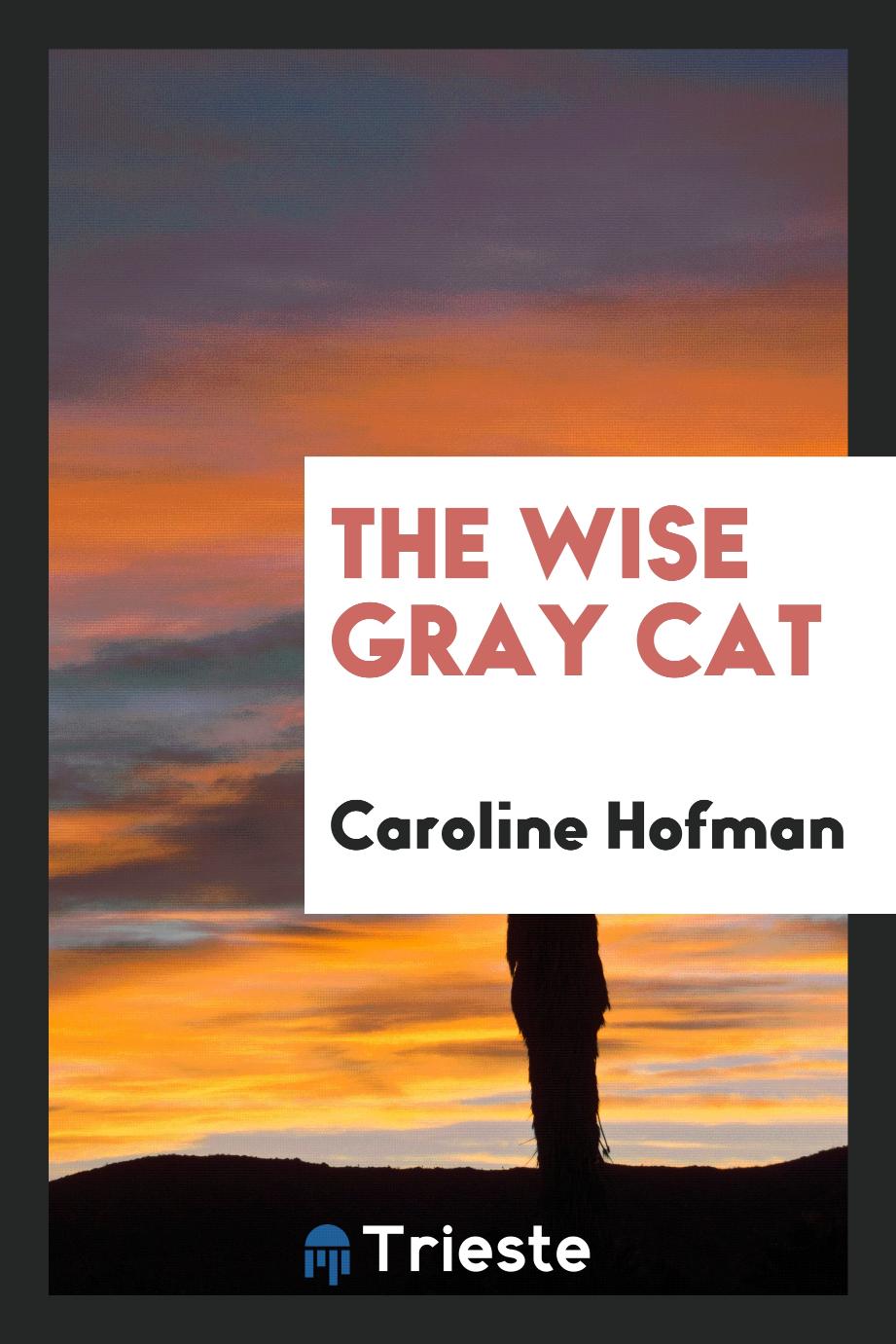 The Wise Gray Cat