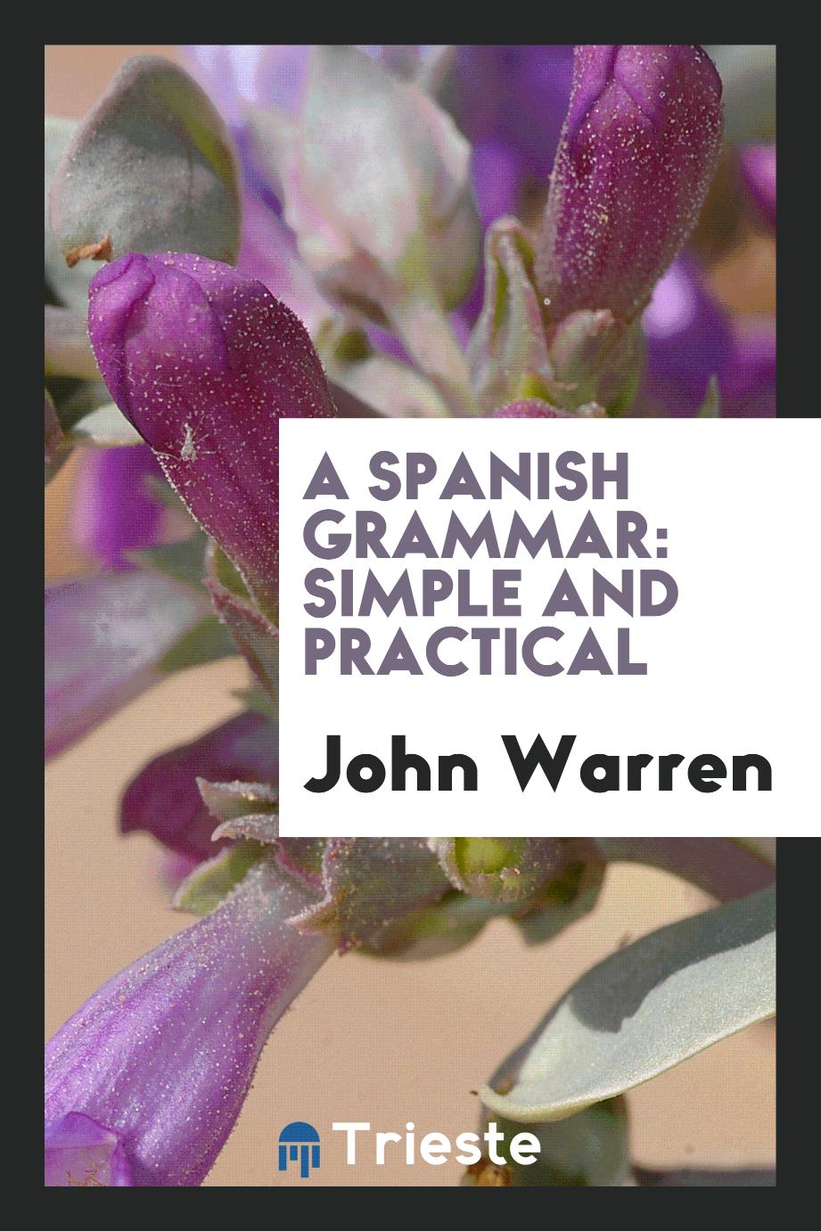A Spanish grammar: simple and practical