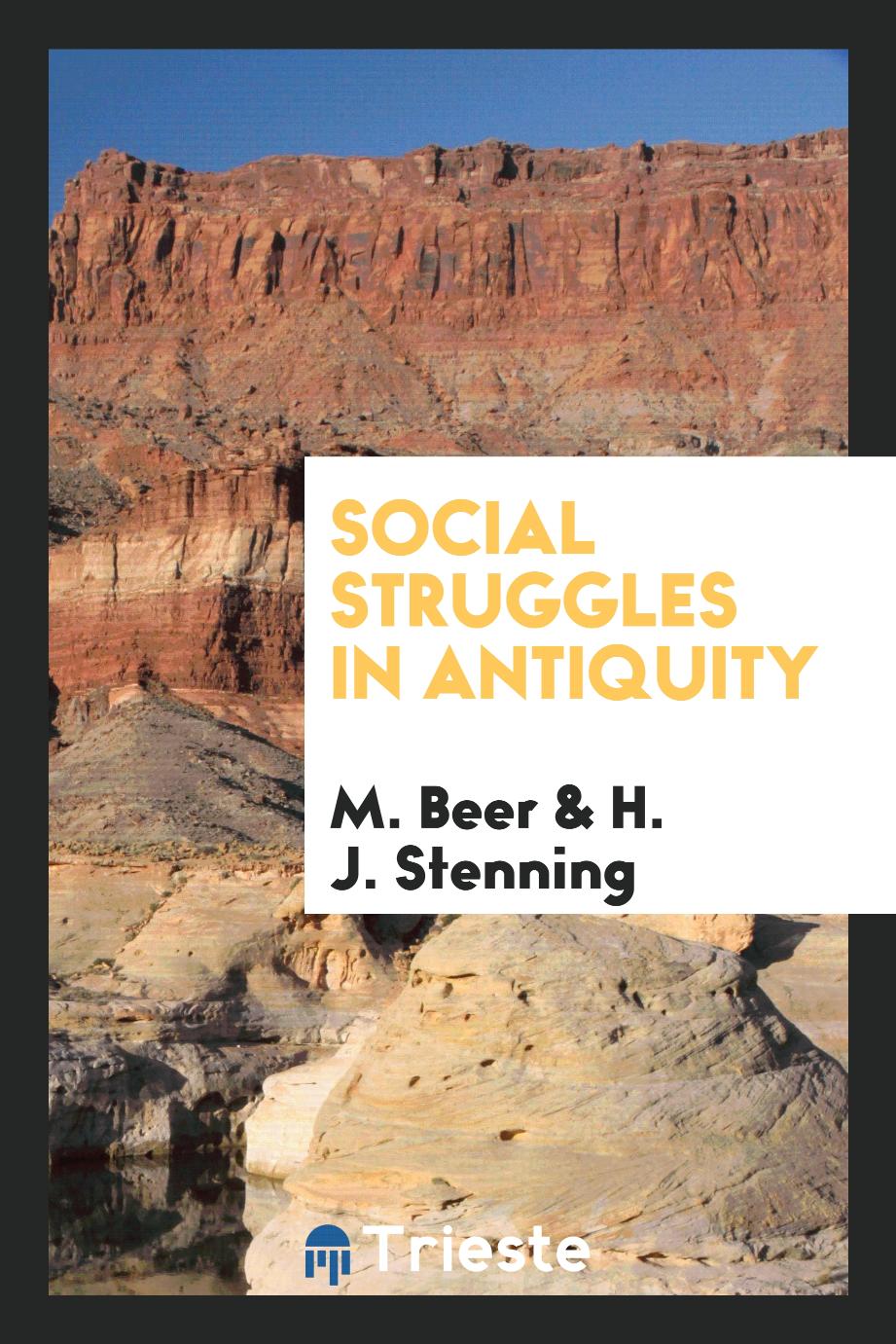 M. Beer, H. J. Stenning - Social struggles in antiquity