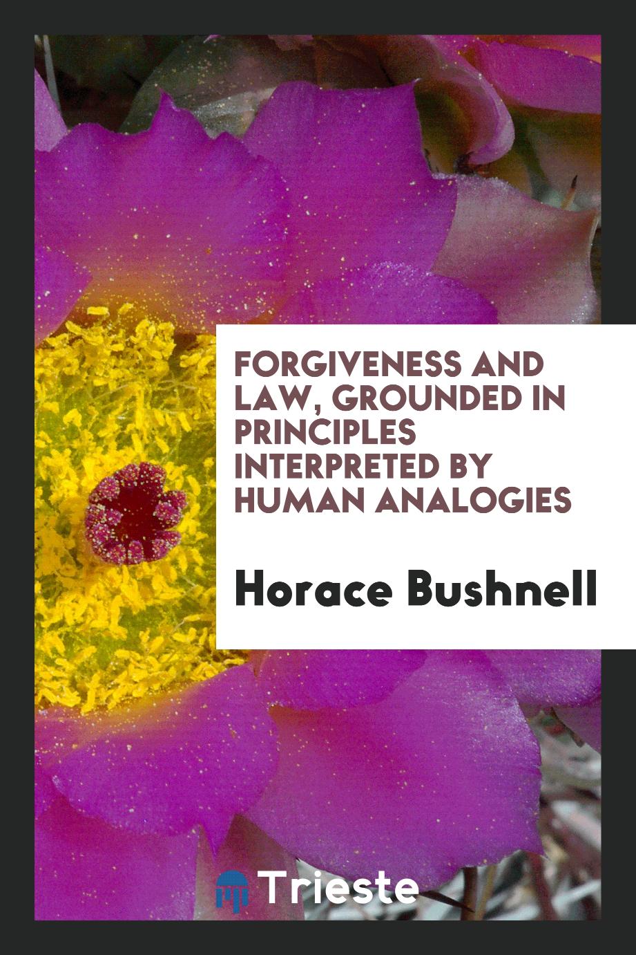 Forgiveness and Law, Grounded in Principles Interpreted by Human Analogies