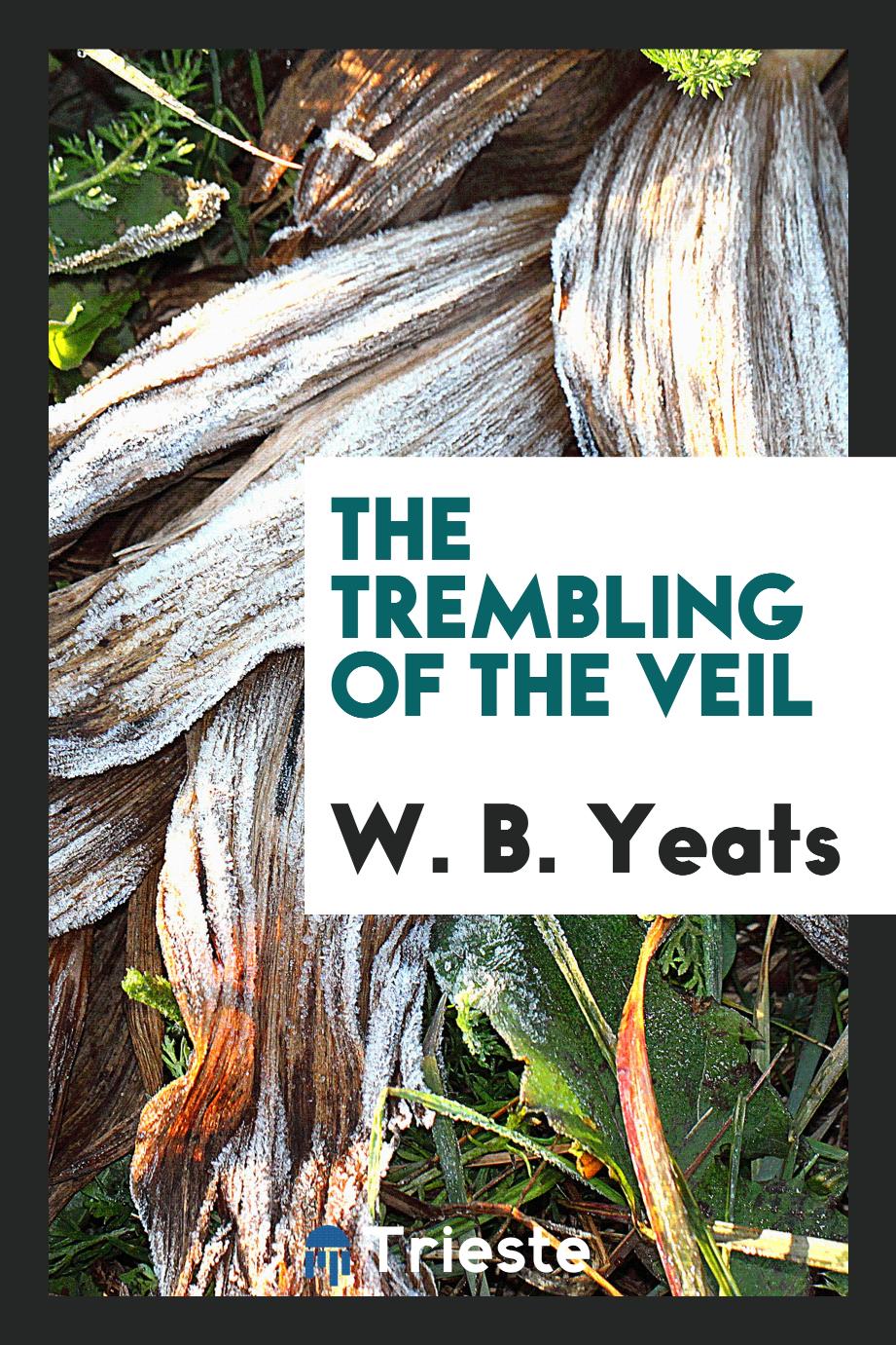 The trembling of the veil