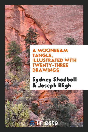 A Moonbeam Tangle, Illustrated with Twenty-Three Drawings