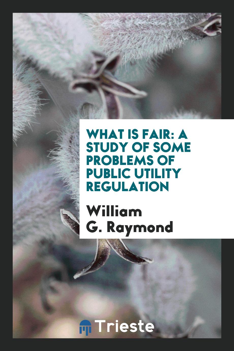 What is fair: a study of some problems of public utility regulation