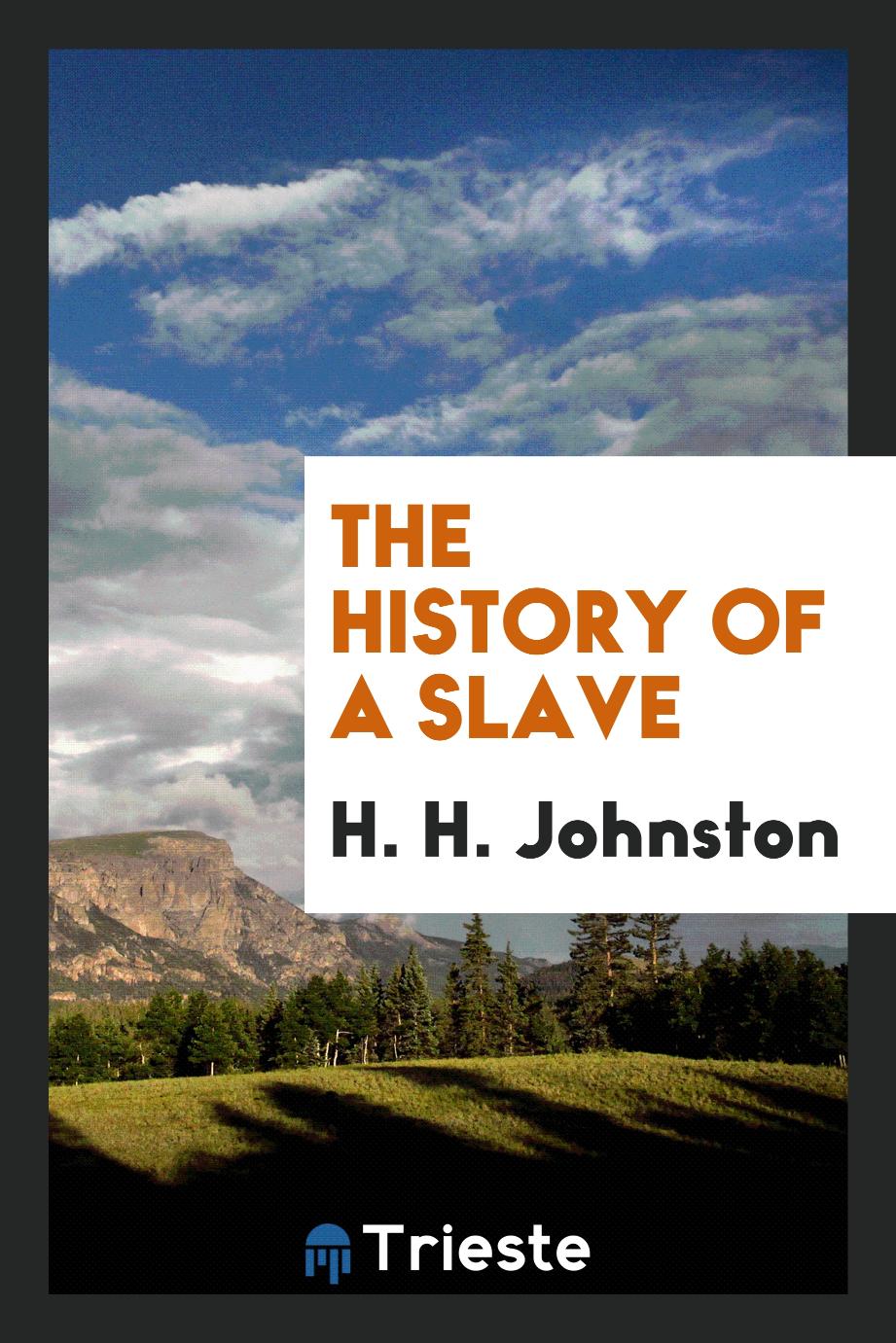 The history of a slave