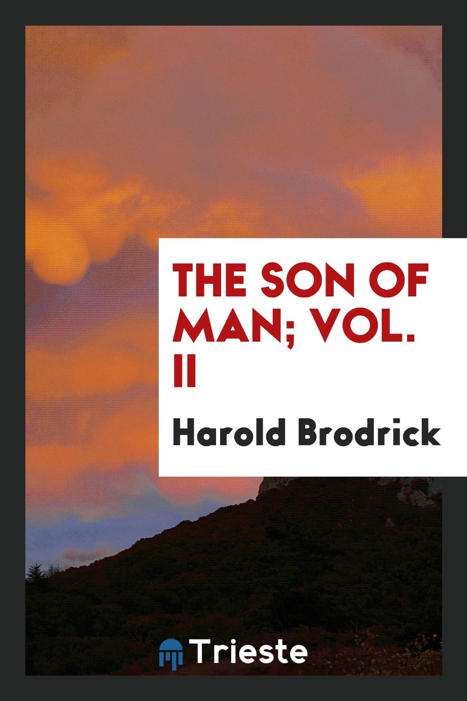 The son of man; Vol. II