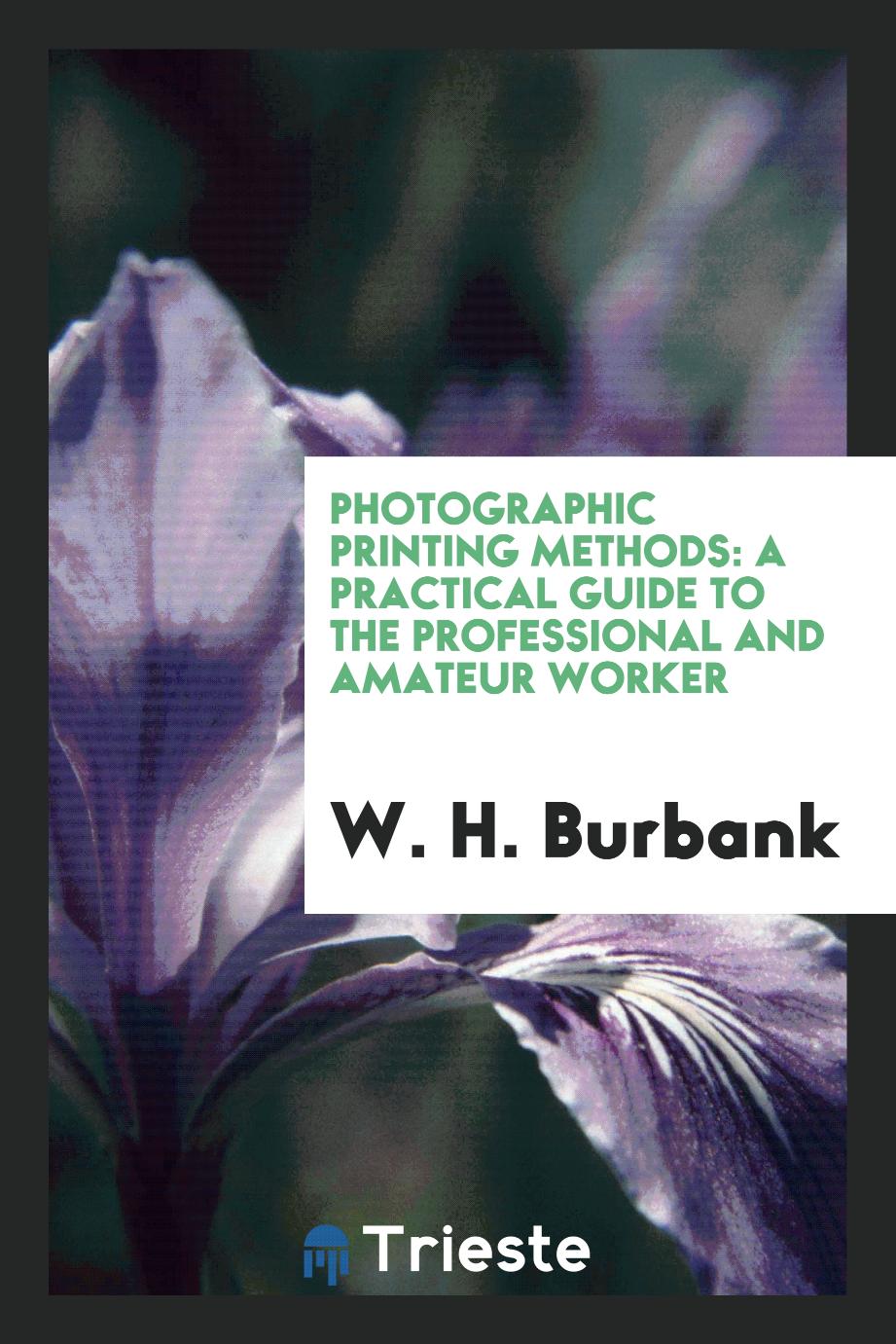 Photographic printing methods: a practical guide to the professional and amateur worker