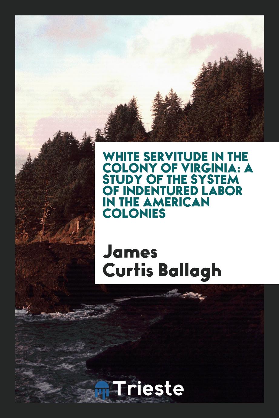 White servitude in the Colony of Virginia: a study of the system of indentured labor in the American colonies