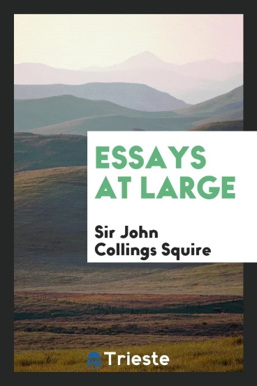 Essays at large