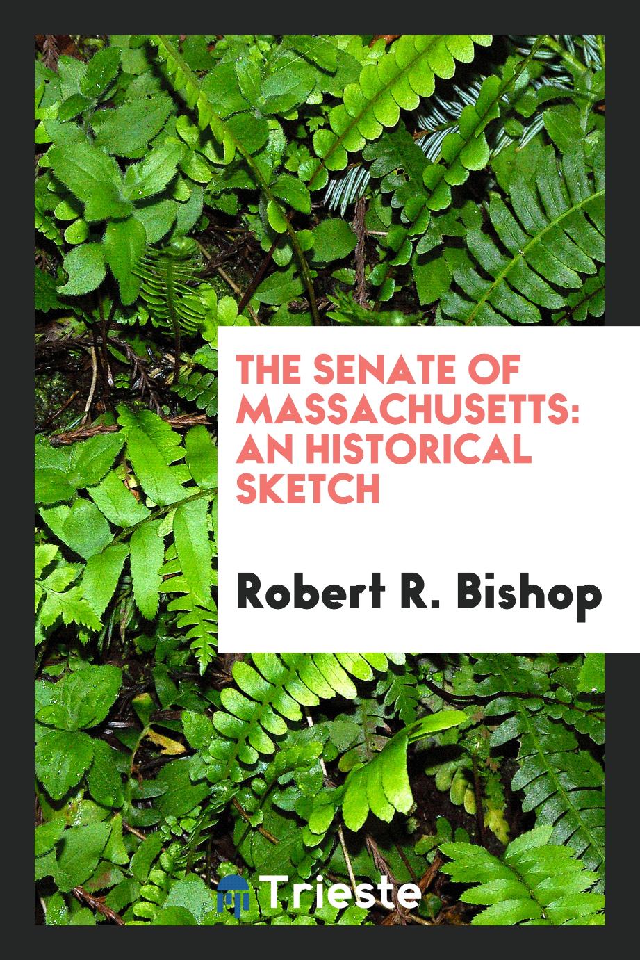 The Senate of Massachusetts: an historical sketch