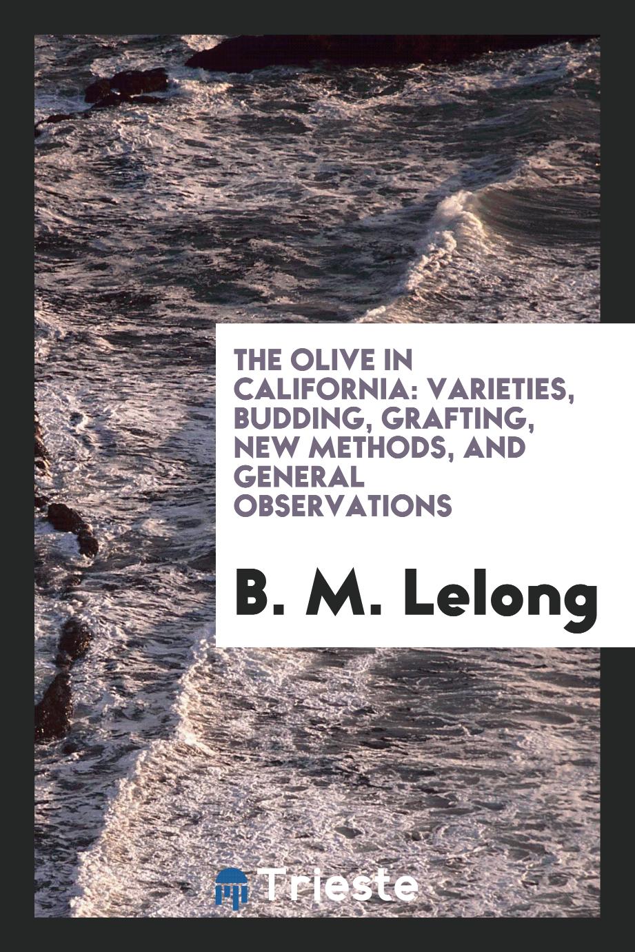 The Olive in California: Varieties, Budding, Grafting, New Methods, and General observations