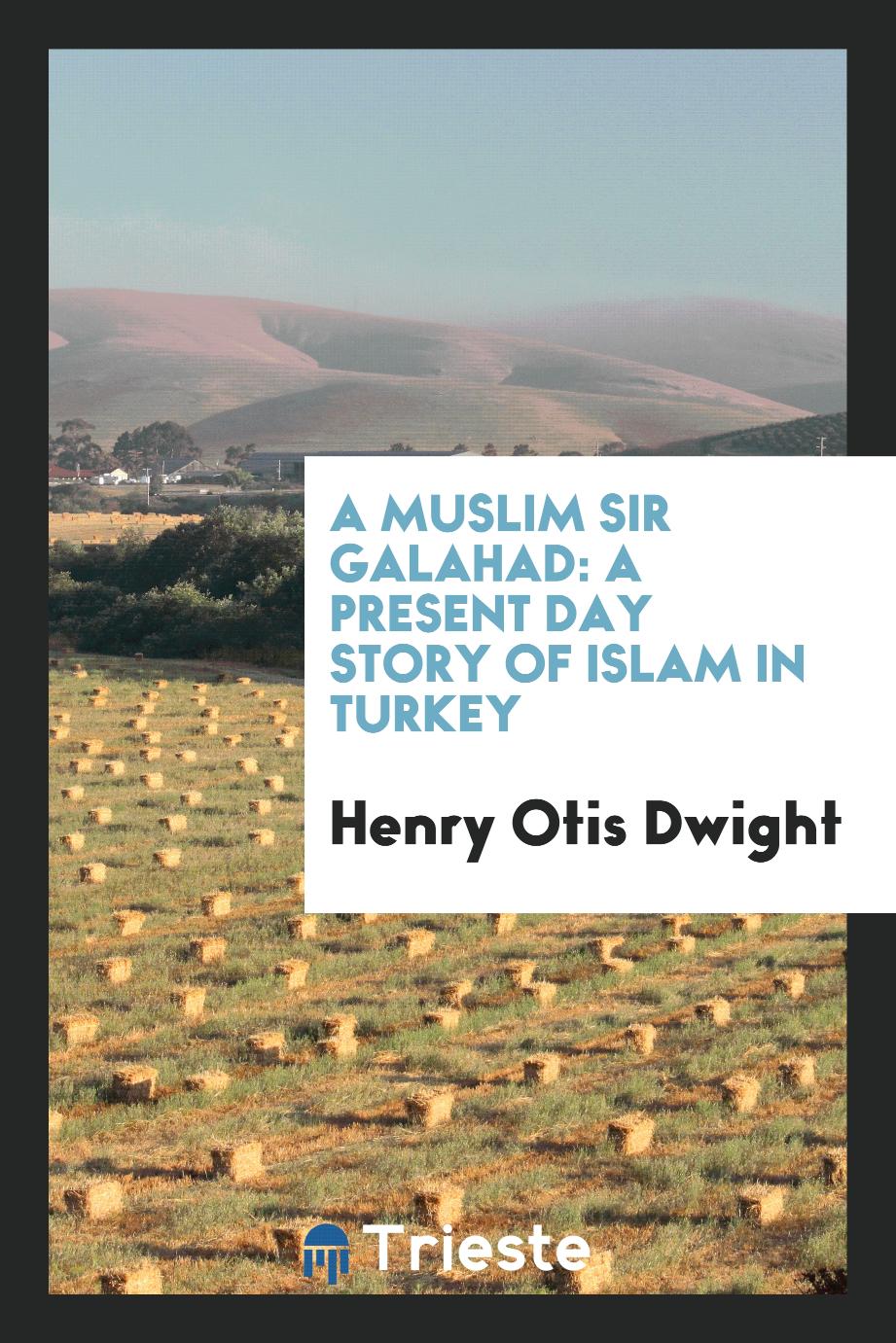 A Muslim Sir Galahad: a present day story of Islam in Turkey