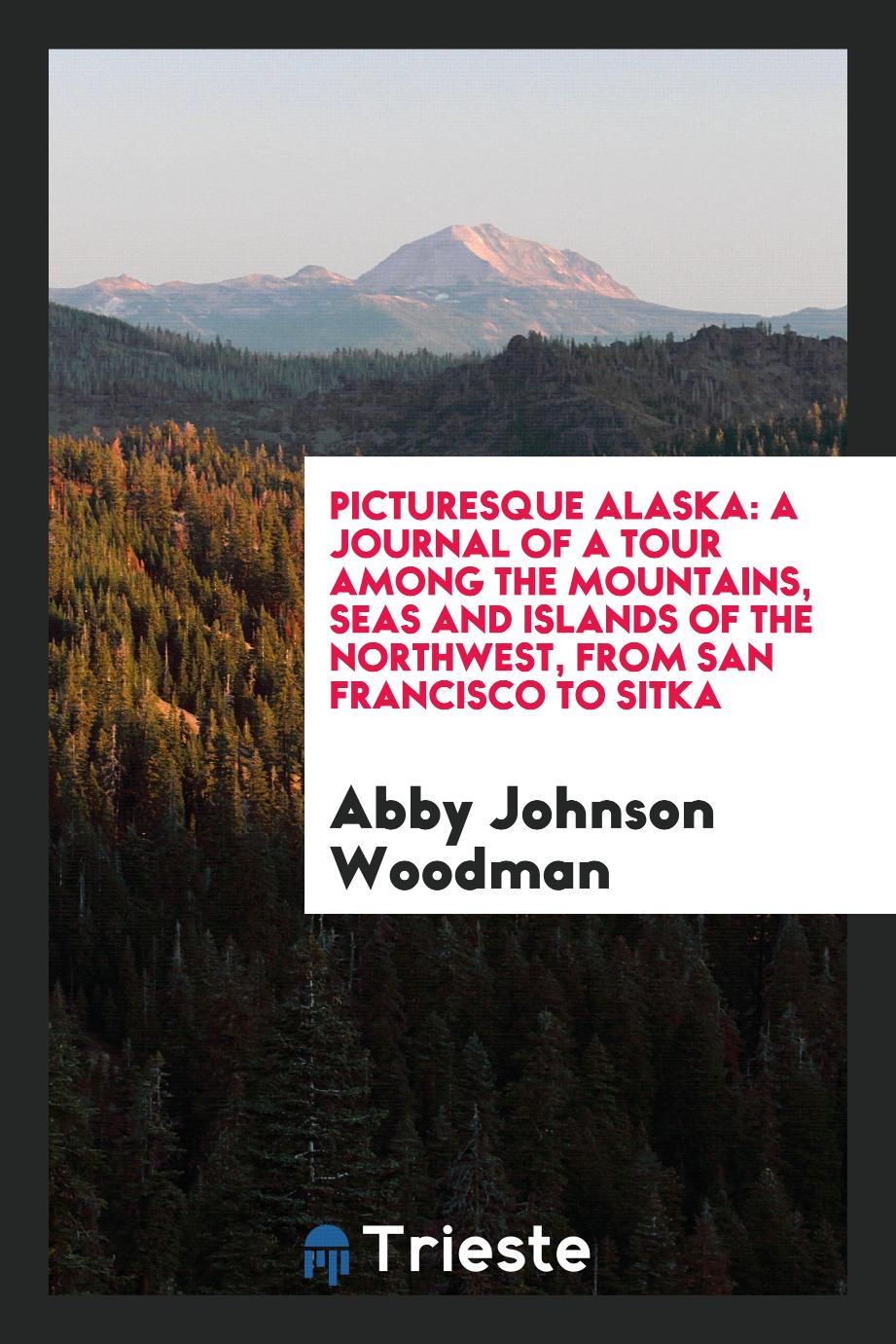 Picturesque Alaska: a journal of a tour among the mountains, seas and islands of the Northwest, from San Francisco to Sitka