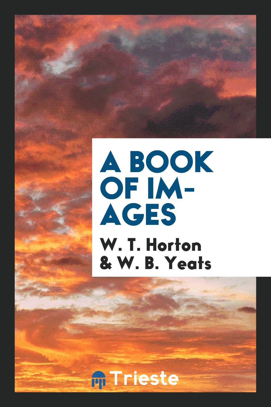 A book of images