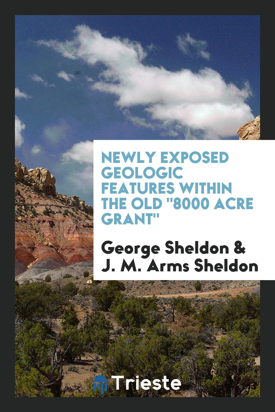 Newly exposed geologic features within the old "8000 acre grant"