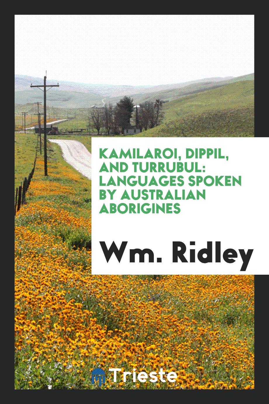 Kamilaroi, Dippil, and Turrubul: Languages Spoken by Australian Aborigines