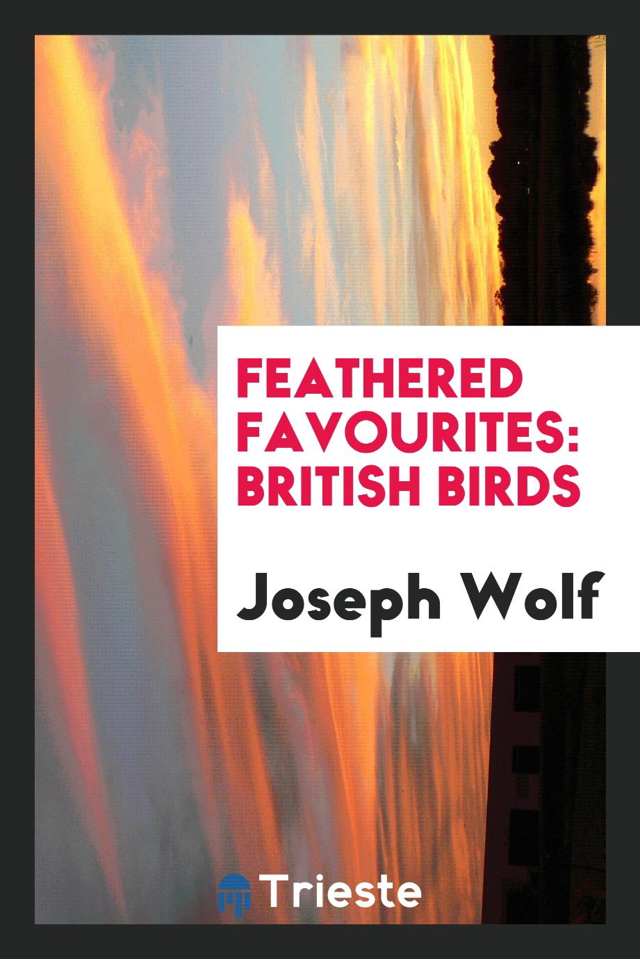 Feathered Favourites: British Birds