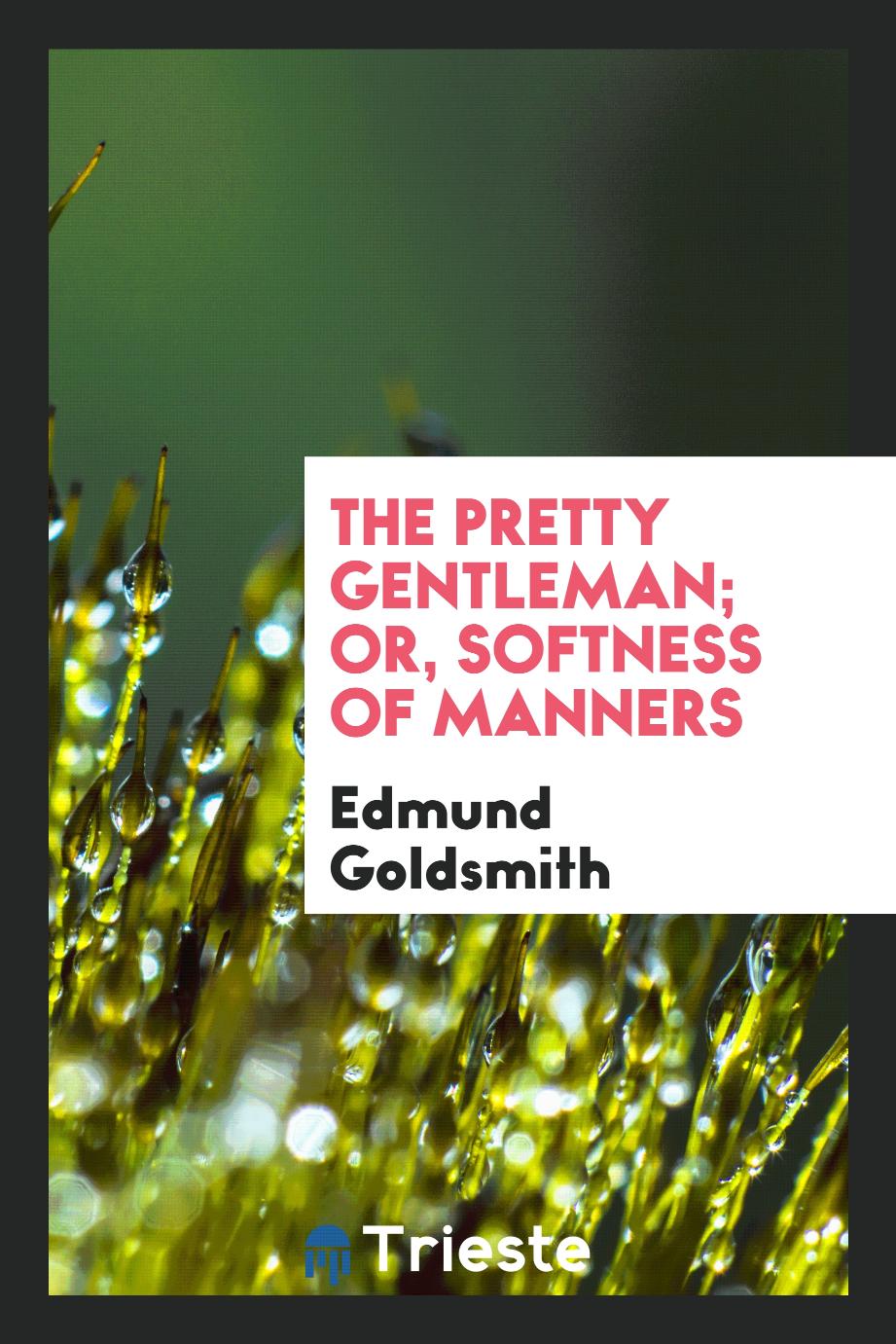 The pretty gentleman; or, Softness of manners
