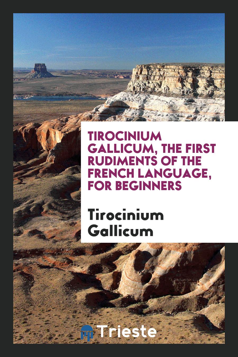 Tirocinium Gallicum, the first rudiments of the French language, for beginners