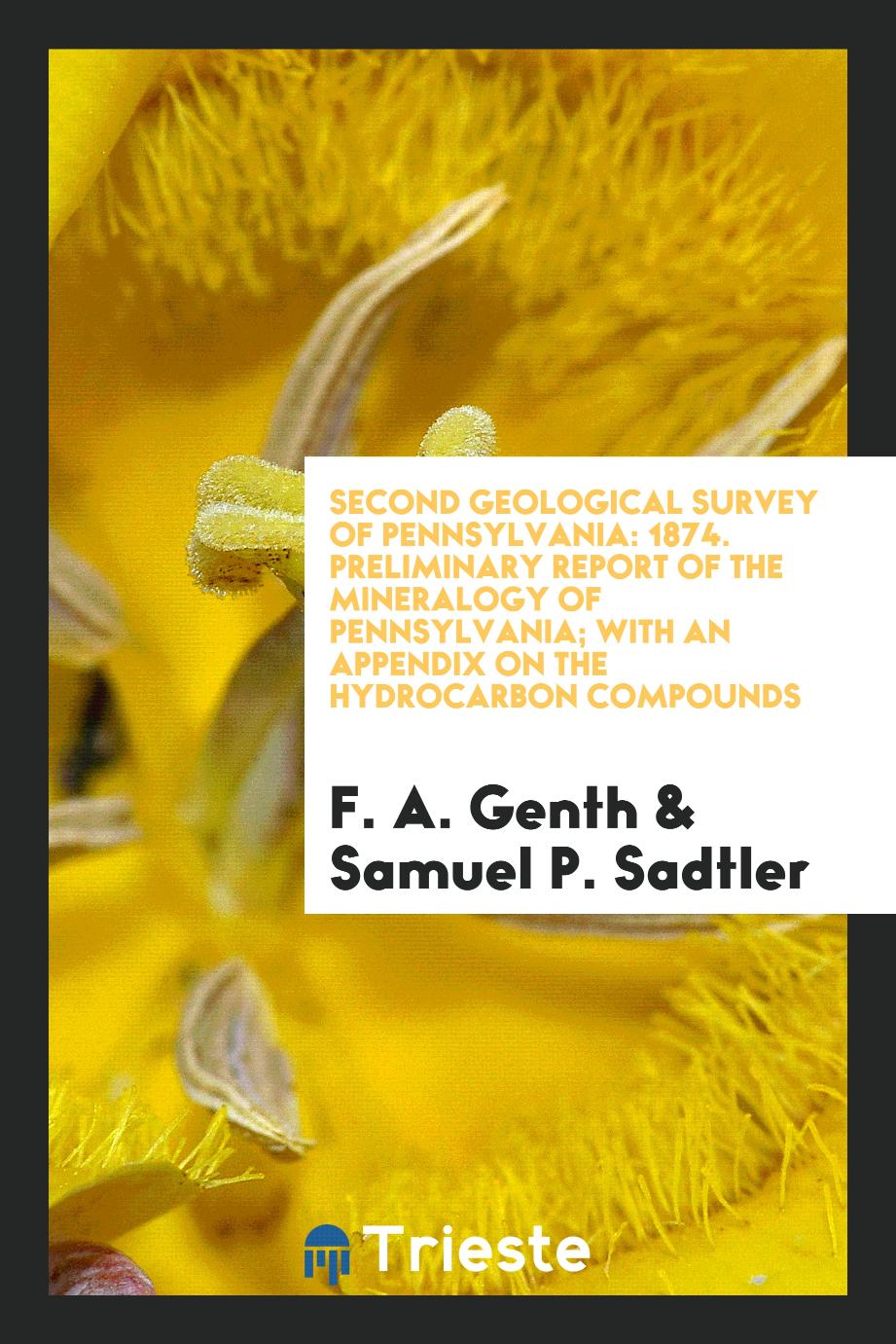Second Geological Survey of Pennsylvania: 1874. Preliminary Report of the Mineralogy of Pennsylvania; With an Appendix on the Hydrocarbon Compounds