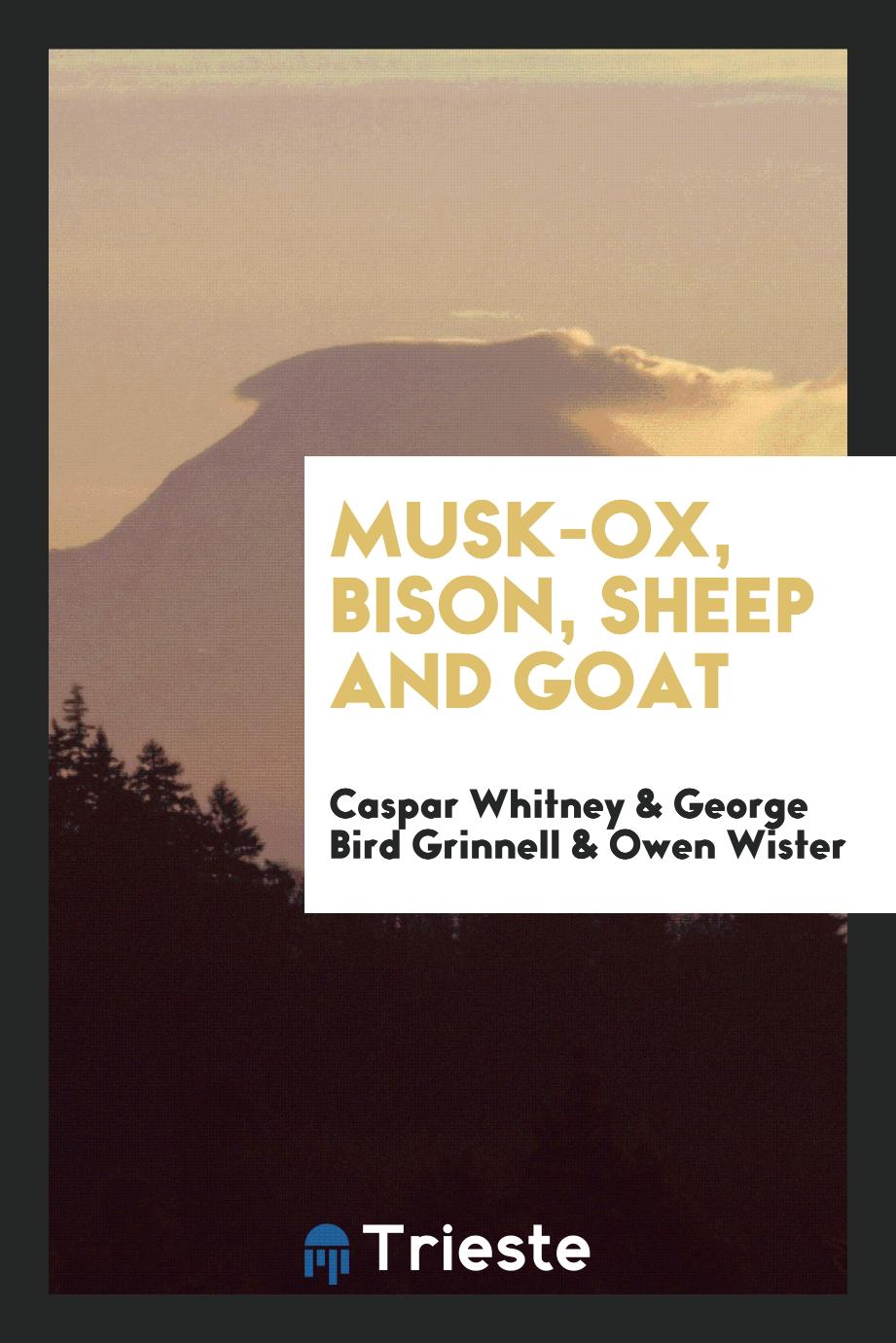 Musk-ox, bison, sheep and goat
