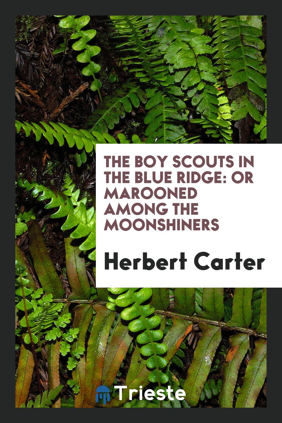 The Boy Scouts in the Blue Ridge: or marooned among the moonshiners