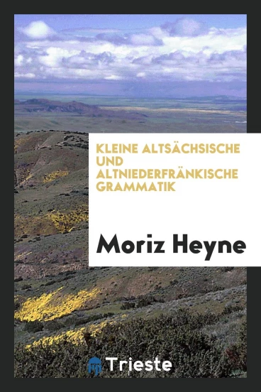 Kleine Altsächsische und Altniederfränkische Grammatik