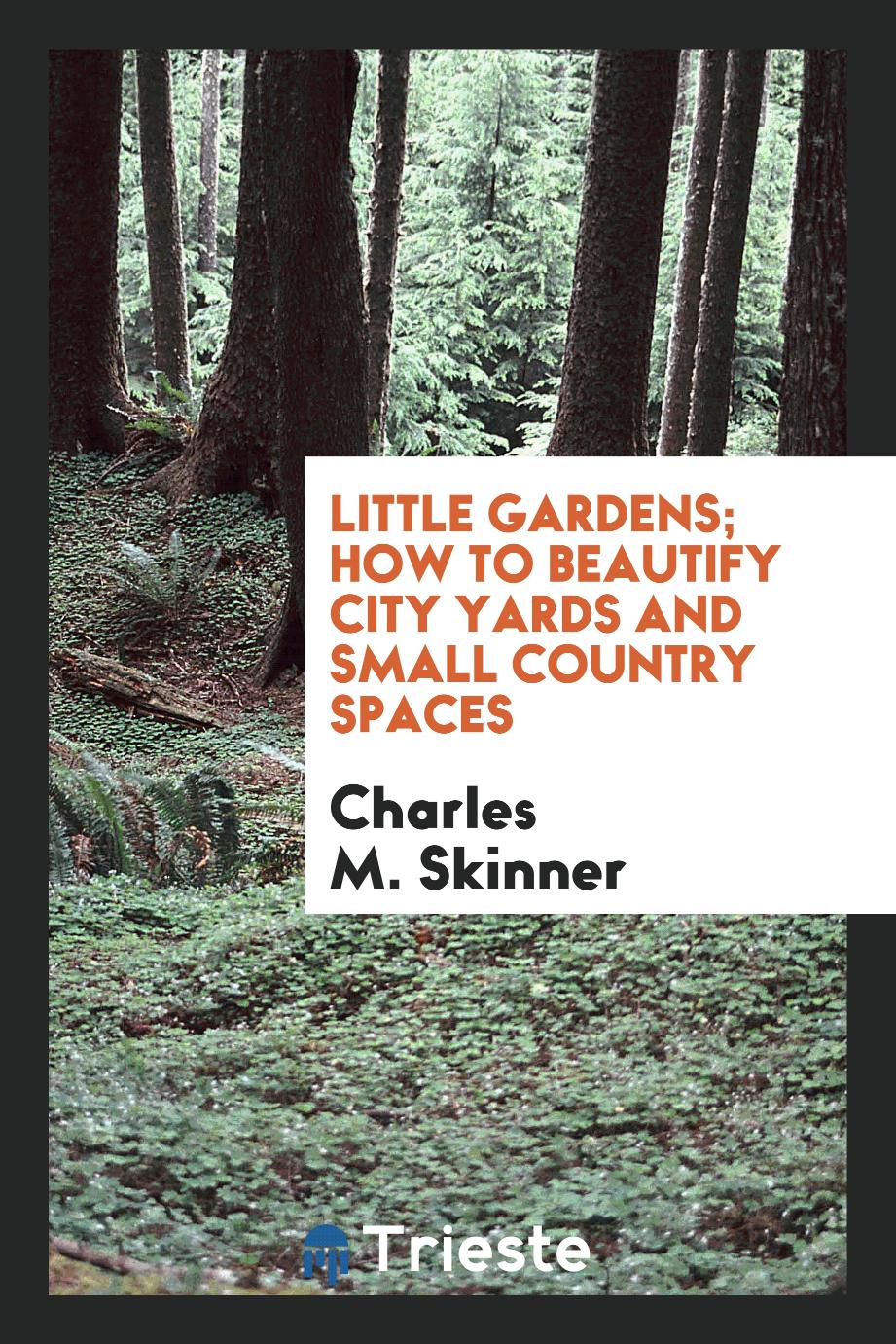 Little gardens; how to beautify city yards and small country spaces