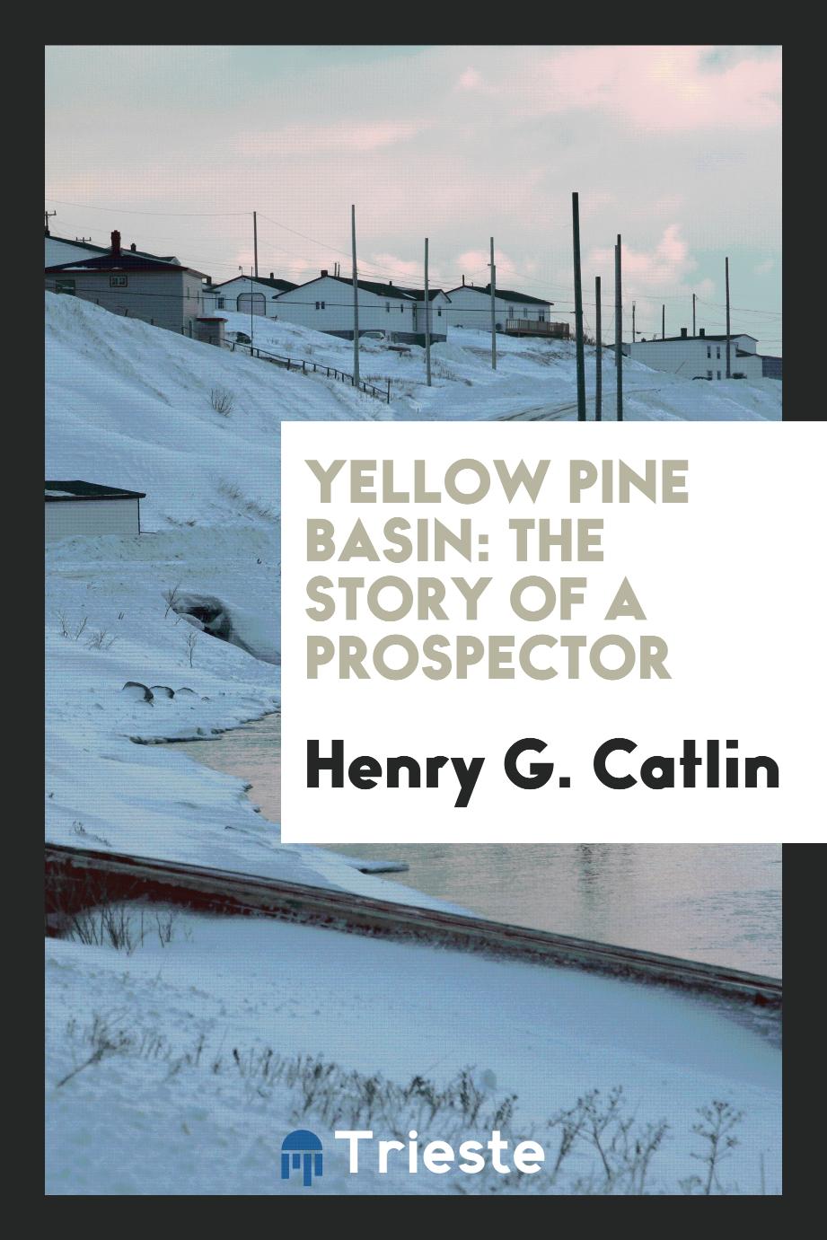 Yellow Pine Basin: the story of a prospector