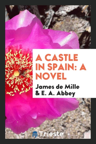 A Castle in Spain: A Novel