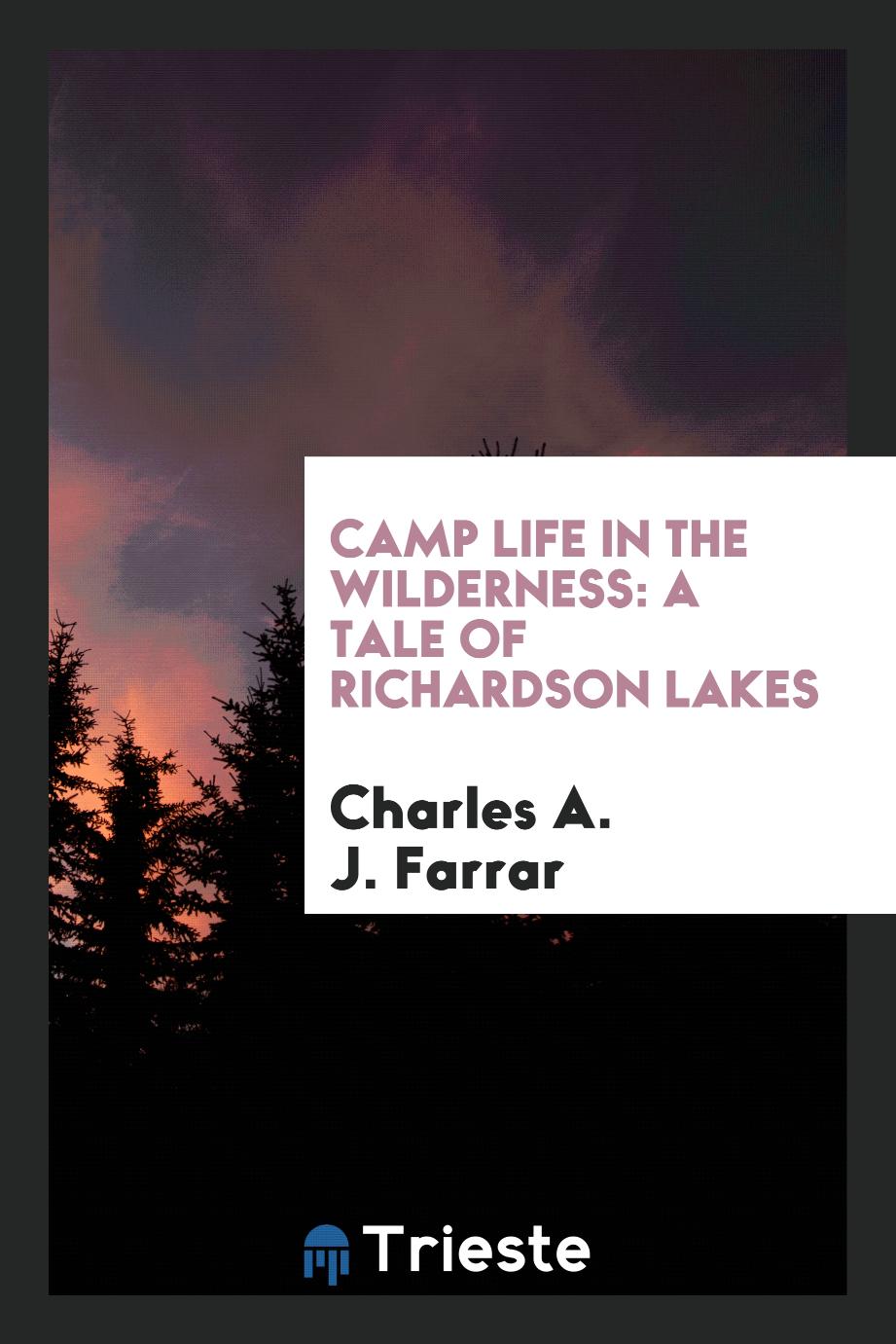 Camp life in the wilderness: a tale of Richardson Lakes