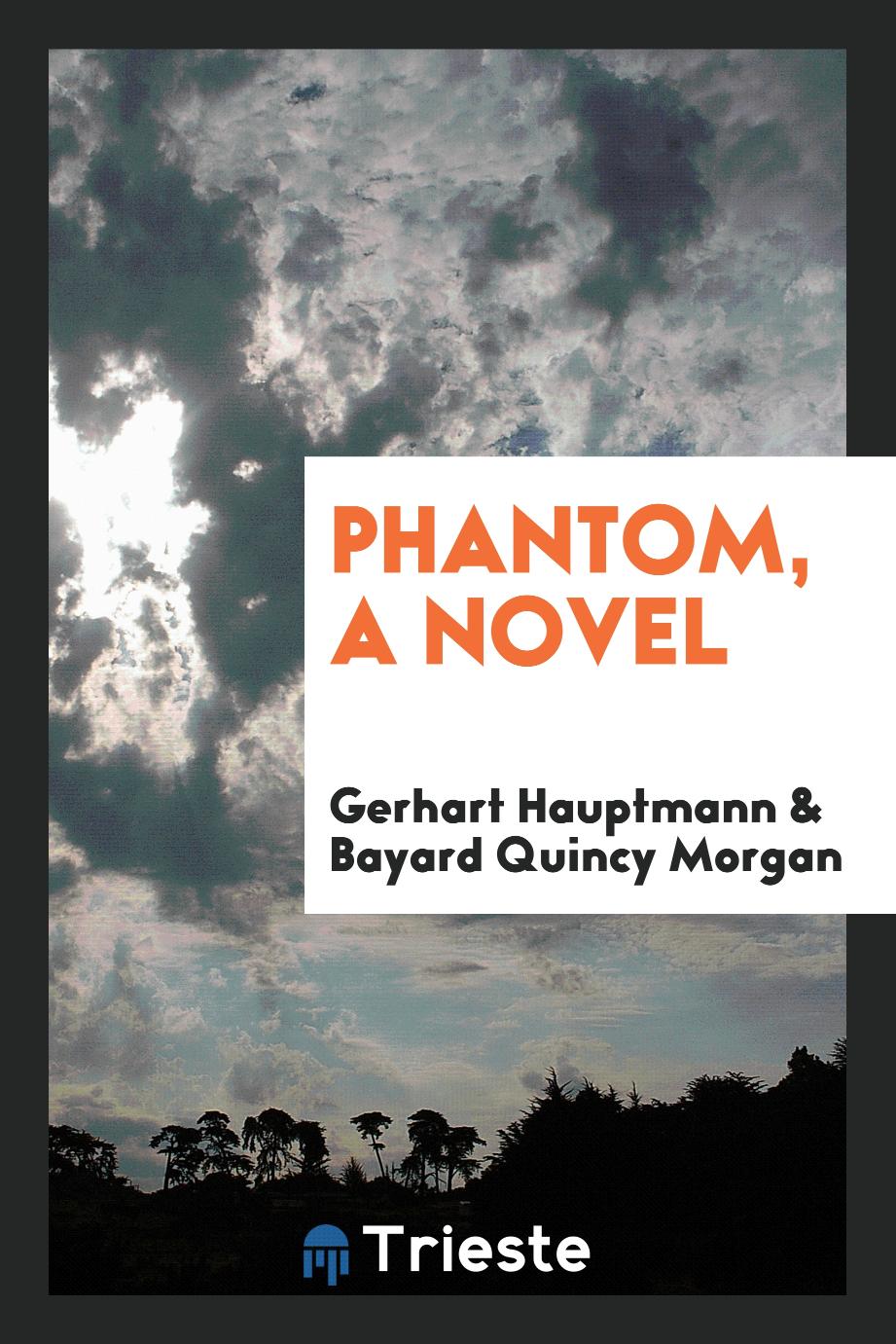 Phantom, a novel