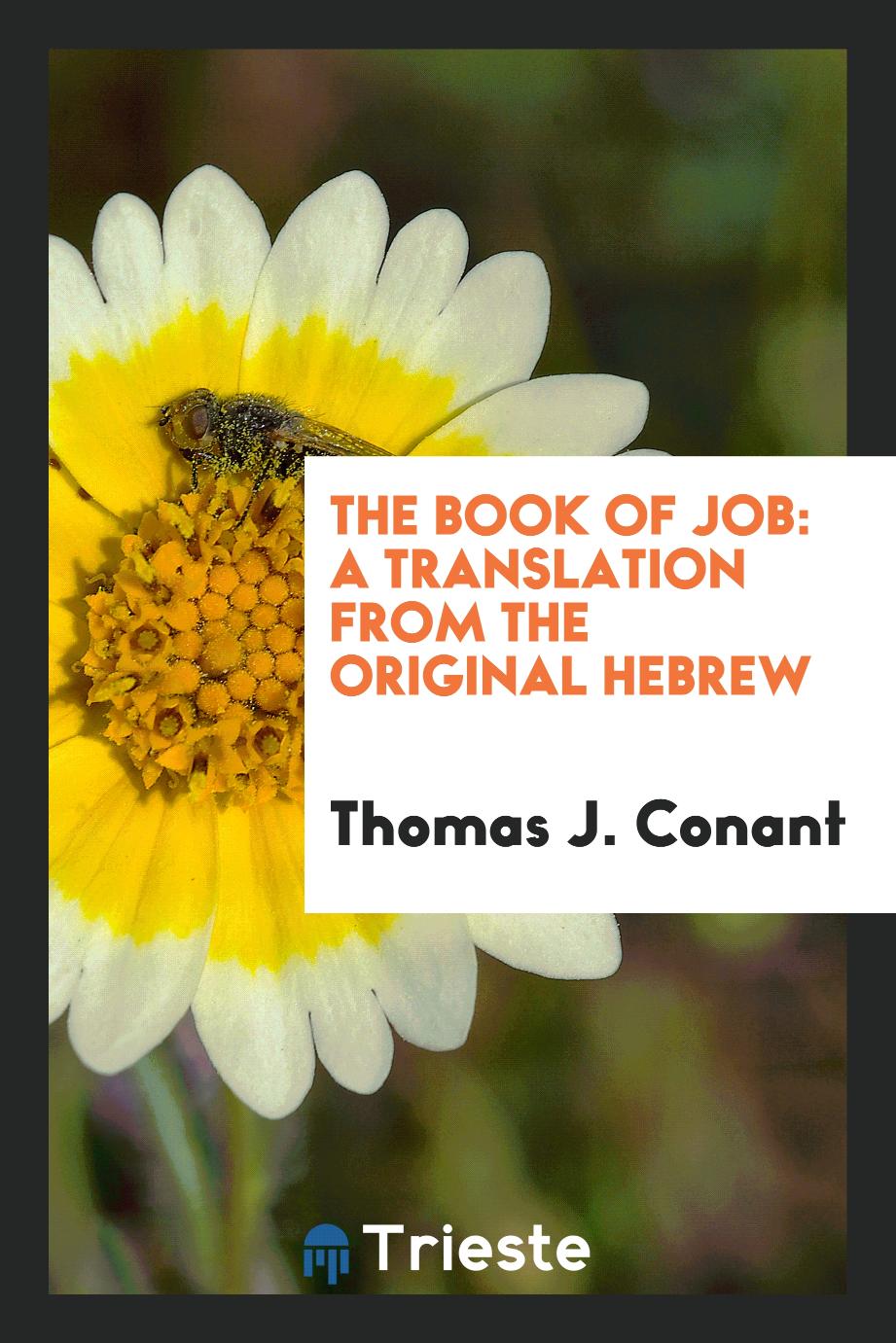 The Book of Job: A Translation from the Original Hebrew