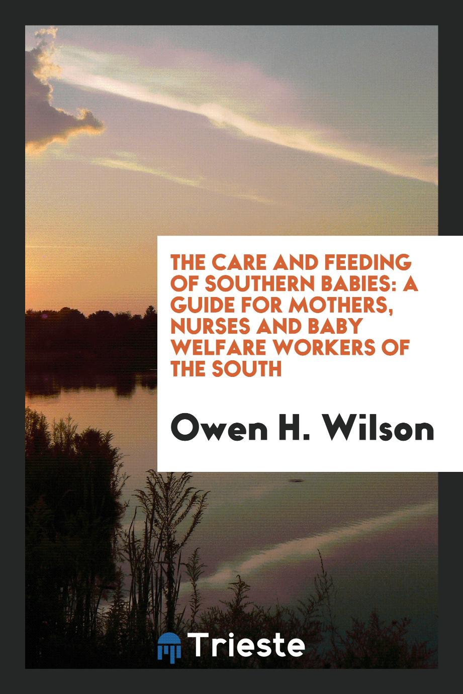 The Care and Feeding of Southern Babies: A Guide for Mothers, Nurses and Baby Welfare Workers of the South