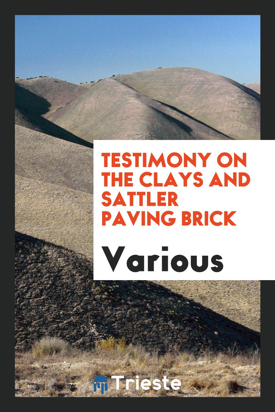 Testimony on the Clays and Sattler Paving Brick