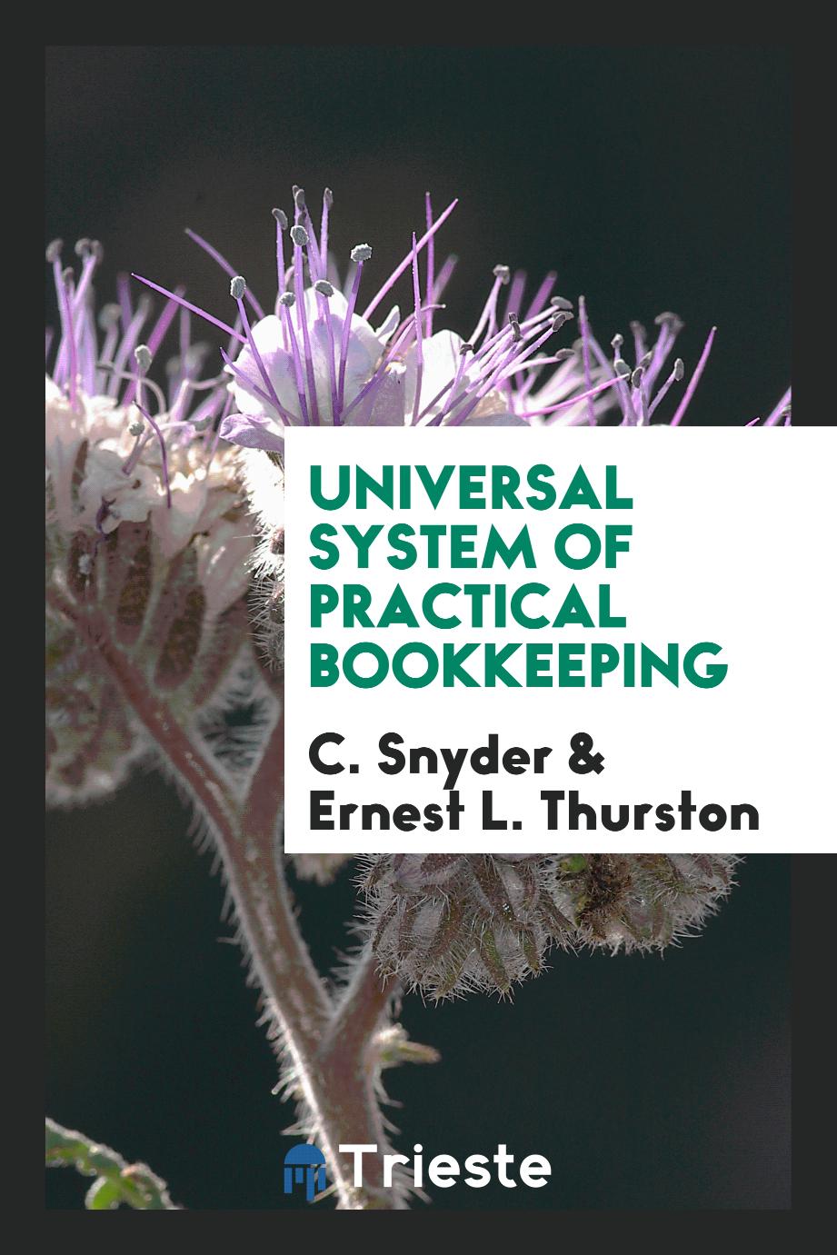 Universal System of Practical Bookkeeping
