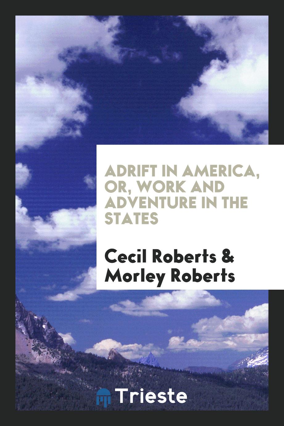 Adrift in America, or, Work and adventure in the States