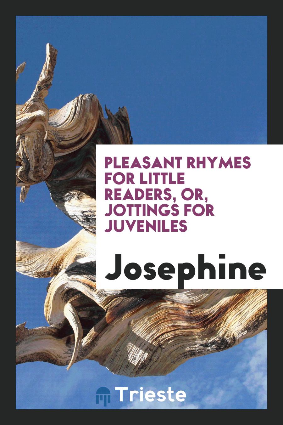 Pleasant Rhymes for Little Readers, or, Jottings for Juveniles