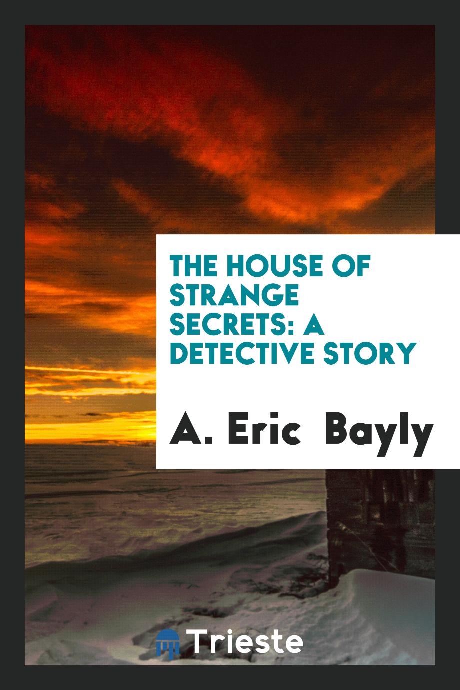 The House of Strange Secrets: A Detective Story